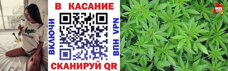 Где найти наркотики Почеп Каннабис  COCAIN  Галлюциногенные грибы  Меф мяу мяу 