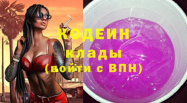 мдпв Осинники