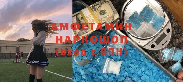 дмт Пересвет