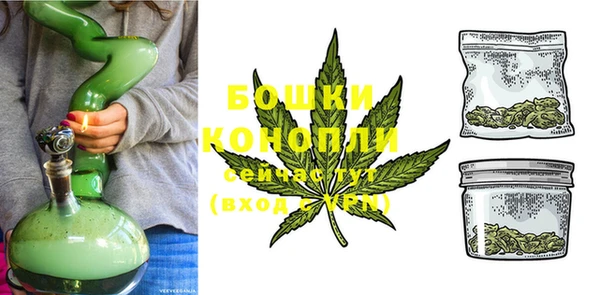 мдпв Осинники