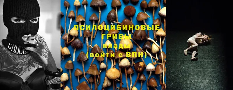 OMG онион  Почеп  Псилоцибиновые грибы Magic Shrooms  сайты даркнета состав  где можно купить наркотик 