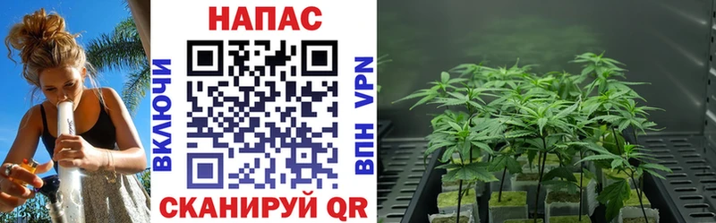 Бошки Шишки LSD WEED  Почеп 